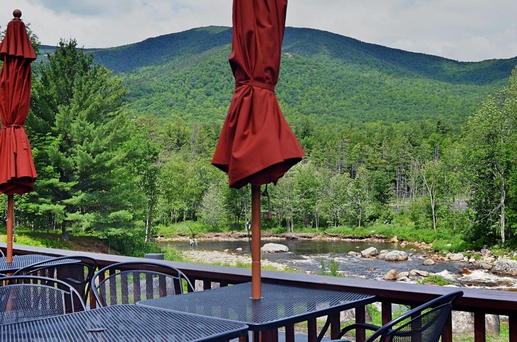Hungry Trout Resort photo 4
