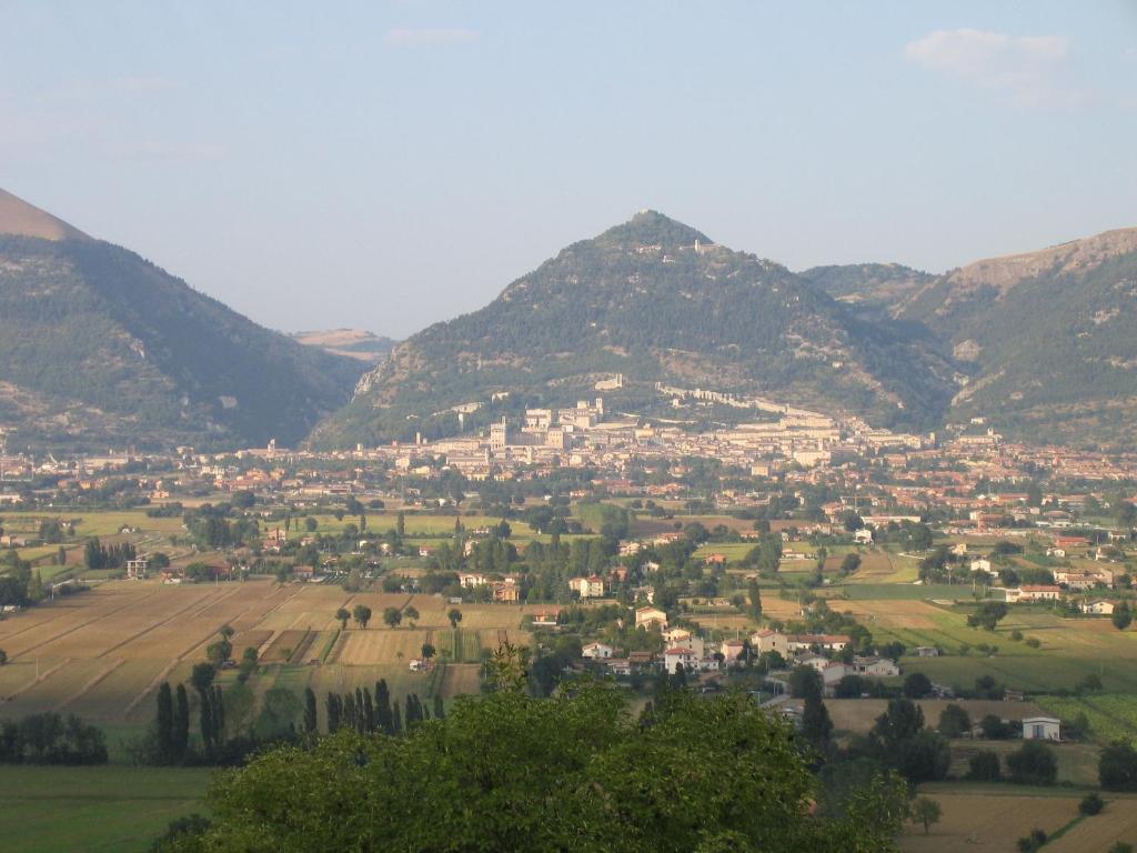 Azienda Agraria Montelujano photo 3