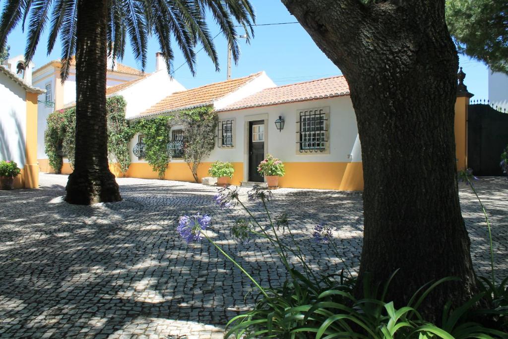 Quinta do Casal de Santo António photo 3