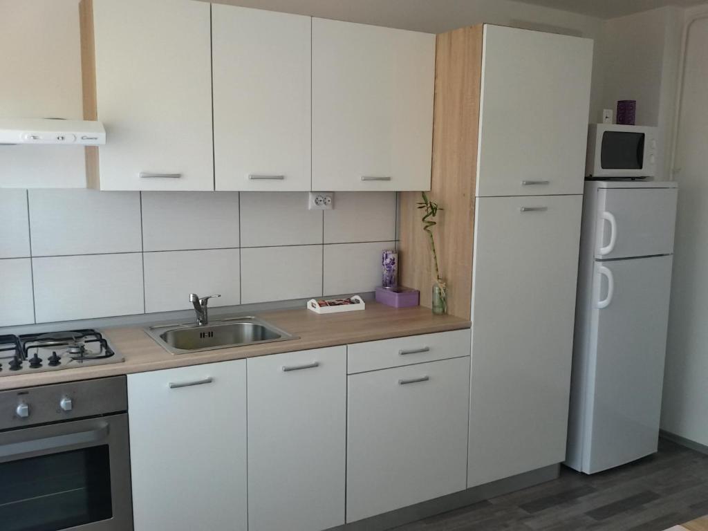 Studio apartman Toplica photo 4
