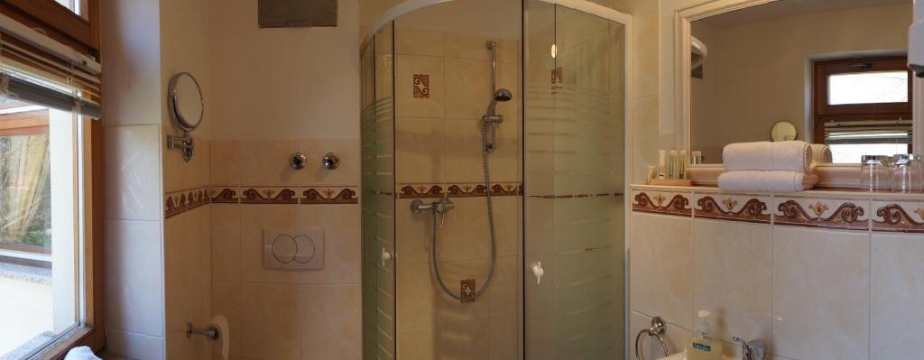 Одноместный (Одноместный номер), Hotel Villa Herzog