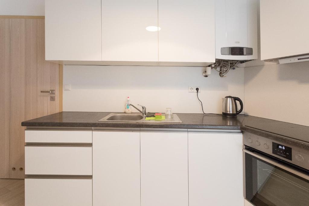 Апартаменты (Апартаменты (10)), Apartment house in Vienna