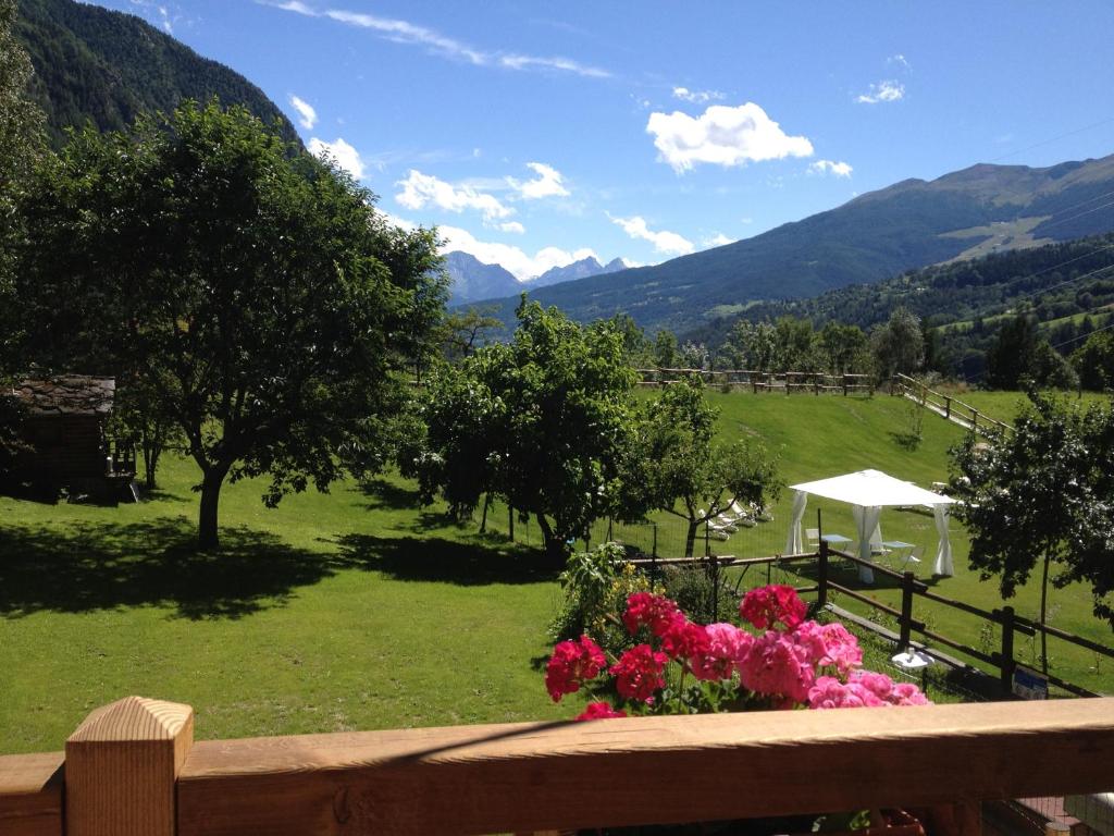 Le Petit Relais photo 4