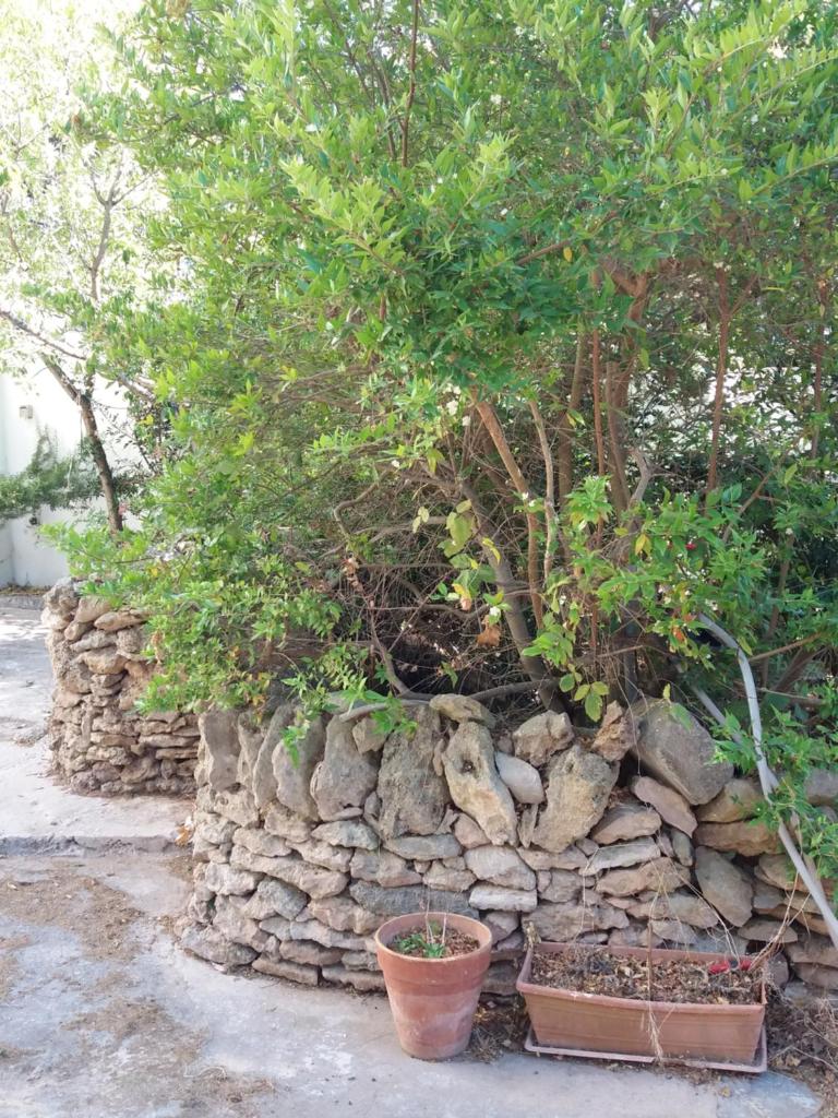 casa Pita photo 2