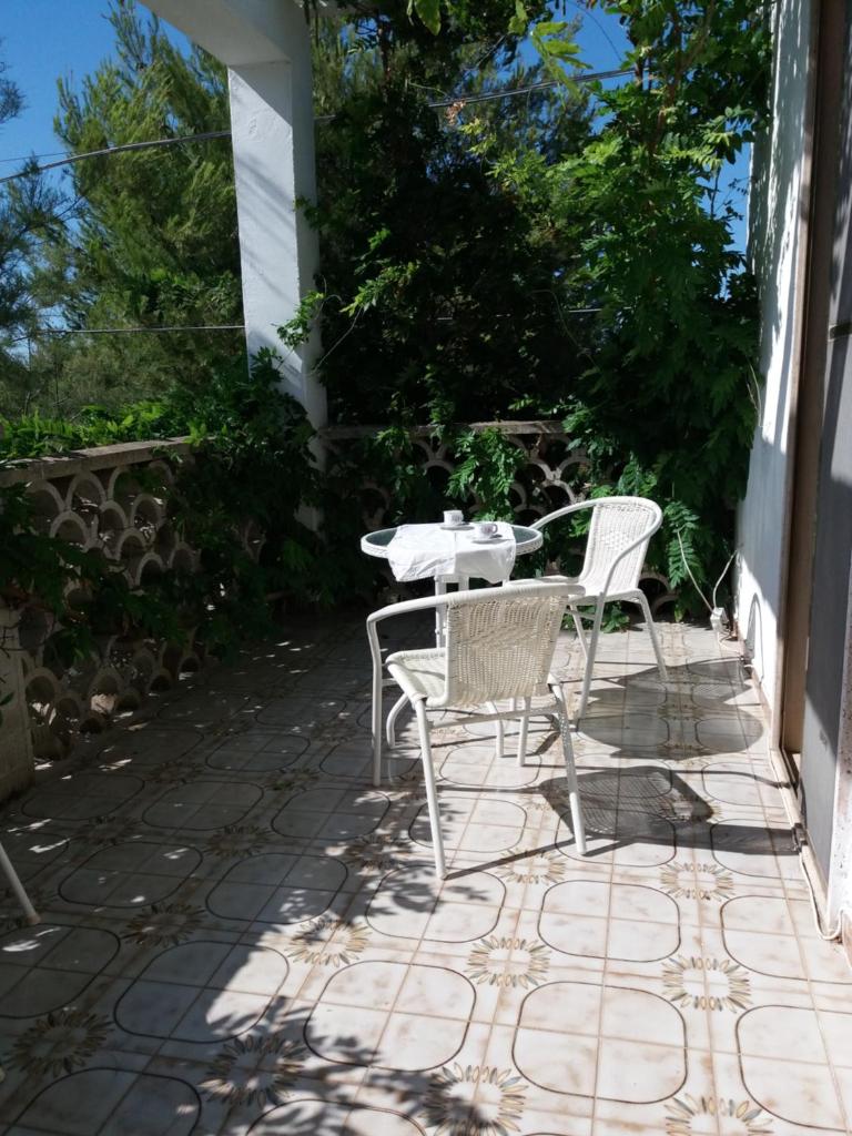 casa Pita photo 1