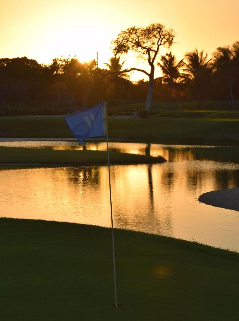 Tot Punta Cana Apartments photo 4
