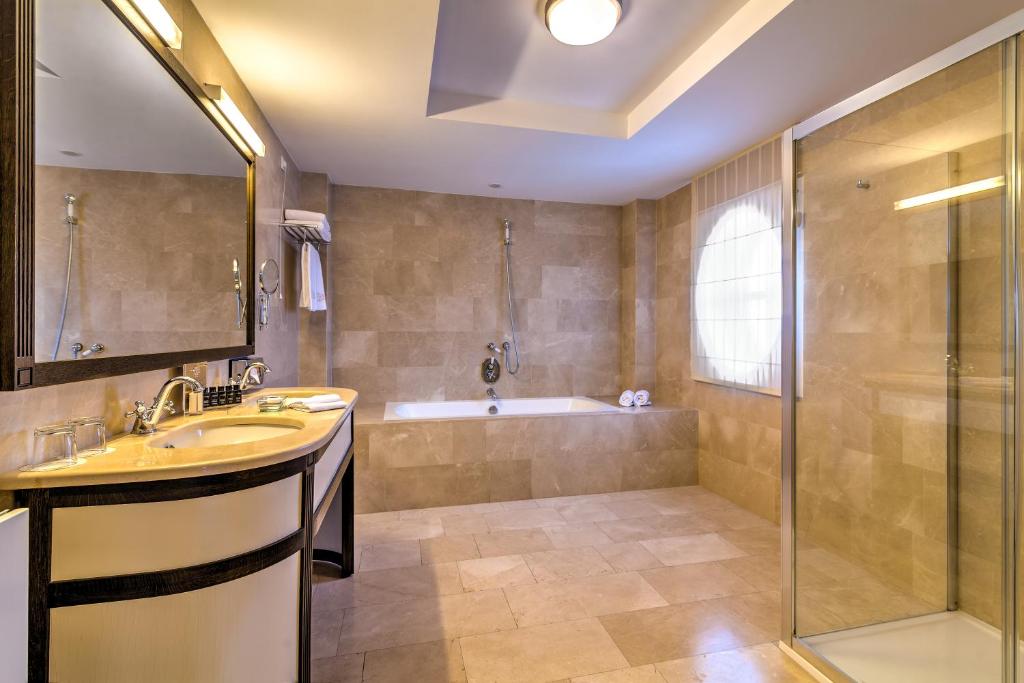 Сьюит (VIP-люкс Cismigiu с террасой и бесплатным Wi-Fi), Epoque Hotel