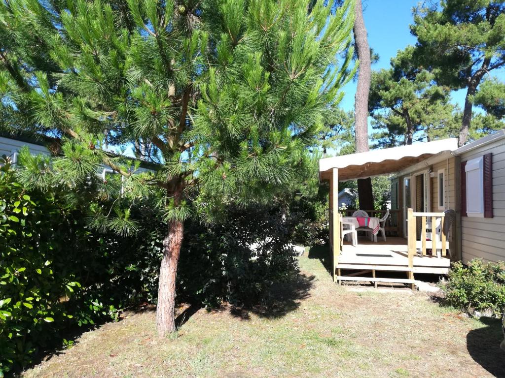 Mobile Home Luxe - La Palmyre photo 1