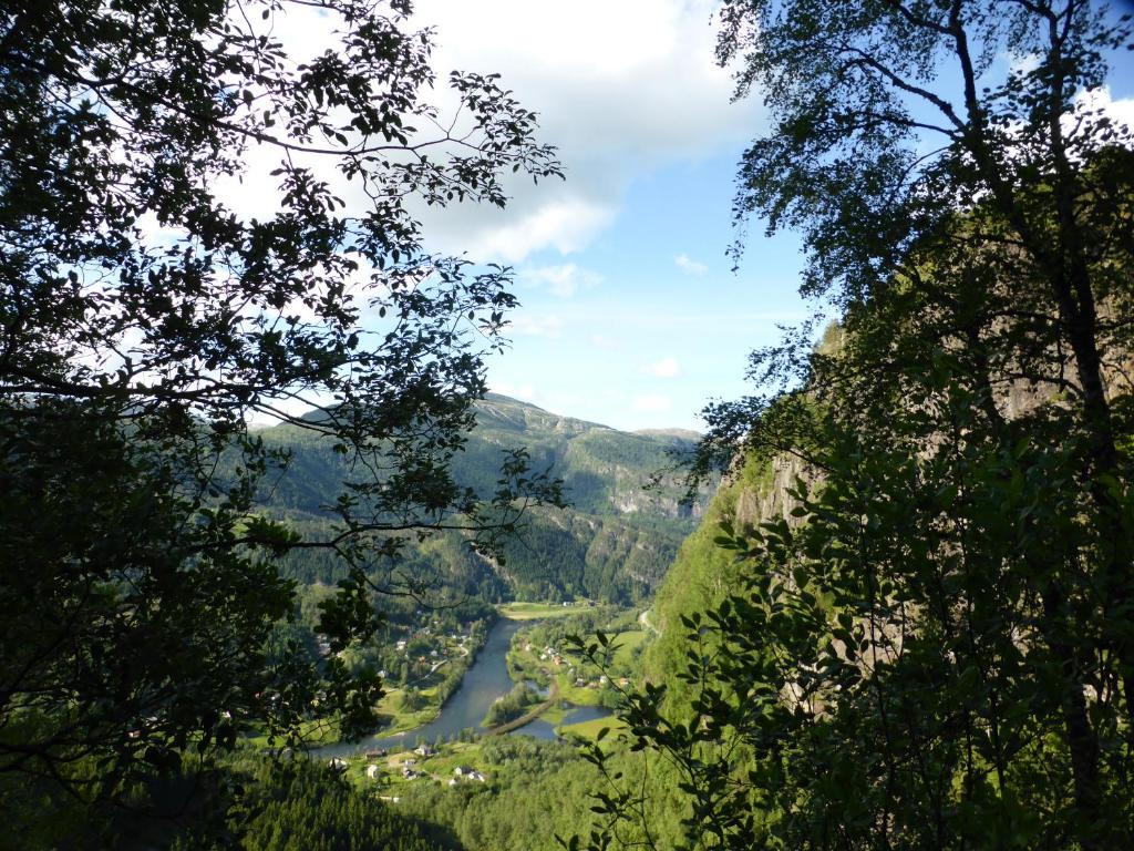 Rongen gard photo 4