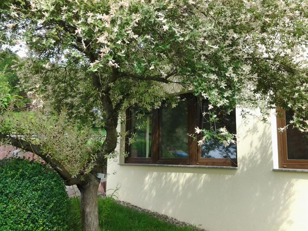 Ferienhaus Waldblick photo 3