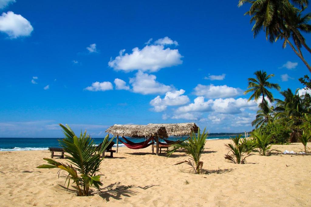 Shiva's Beach Cabanas photo 4