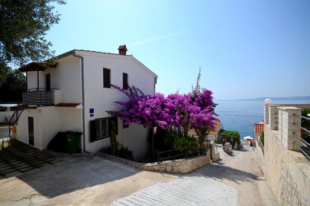 Apartments Katica photo 1