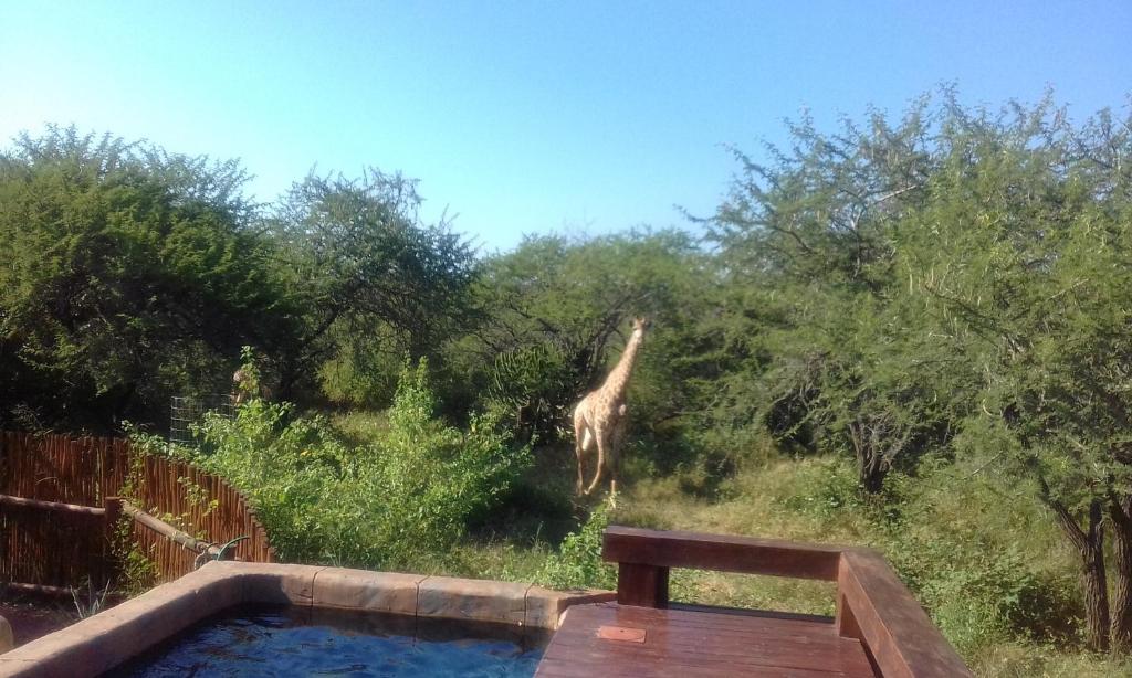 Marloth Kruger Whispering Ants photo 2
