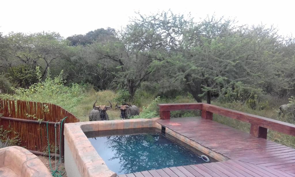 Marloth Kruger Whispering Ants photo 1