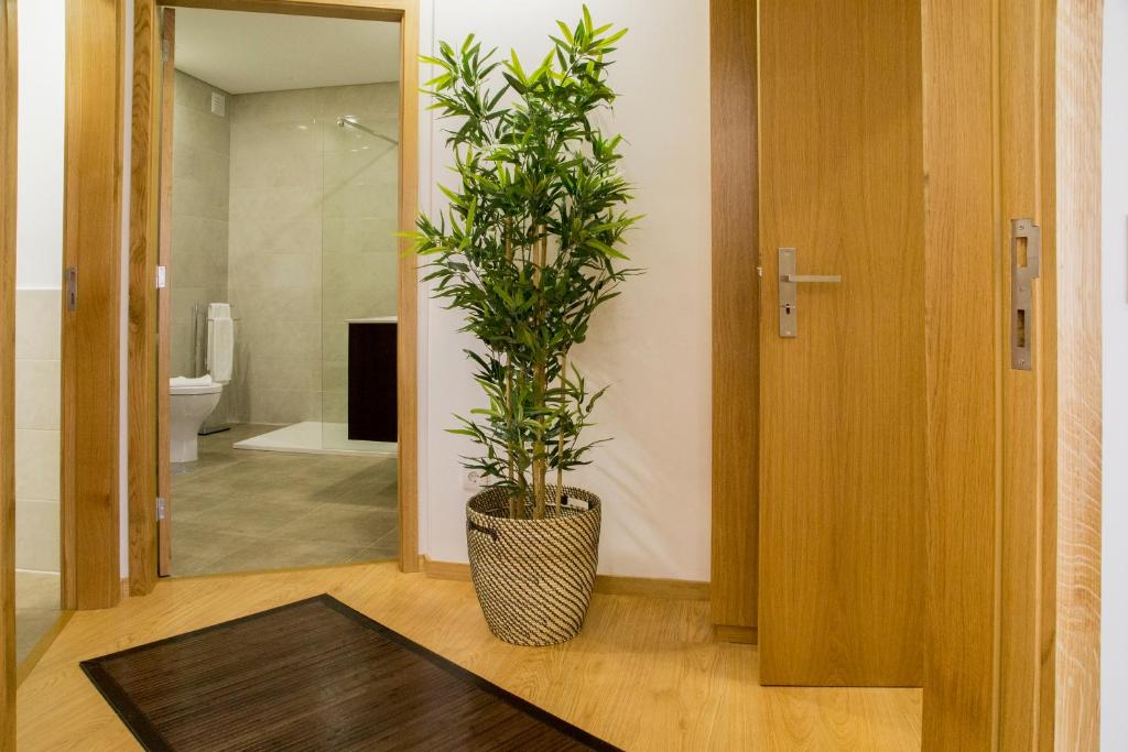 Апартаменты (Апартаменты с 2 спальнями), Spot Apartments Trindade