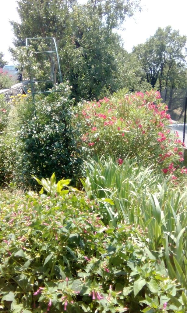 Apartman Gabi photo 3