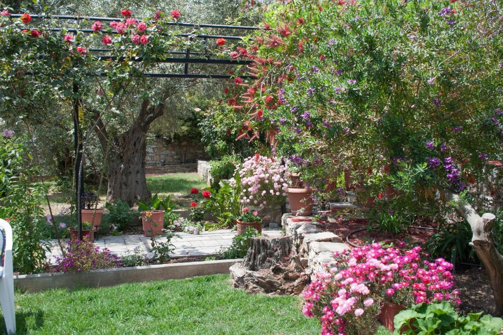 Villa Penelope photo 4