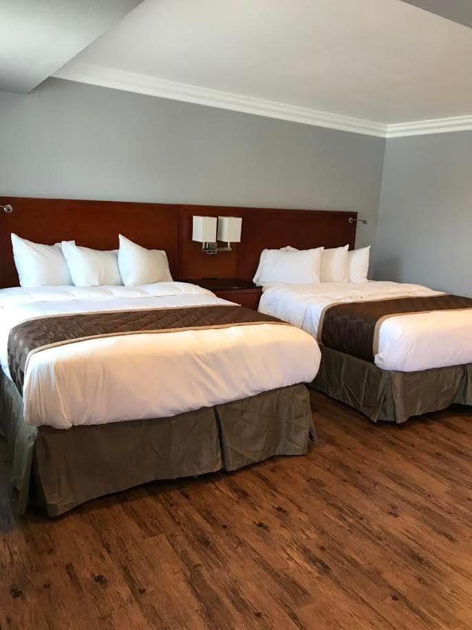 Rex Motel image