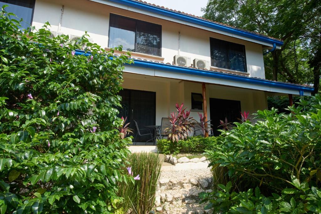 Tamarindo Blue Apartments photo 4