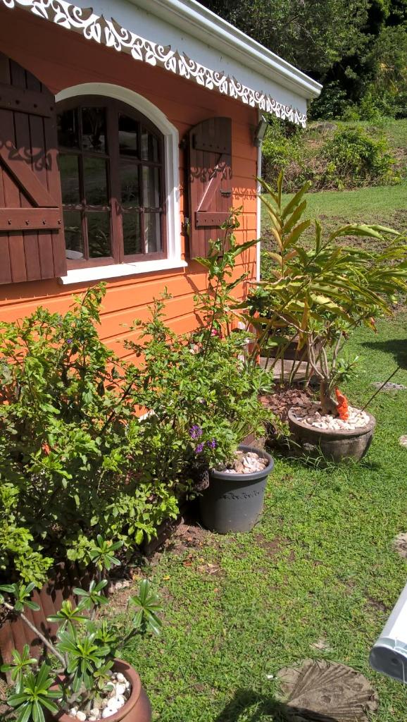 Cap Martinique photo 3