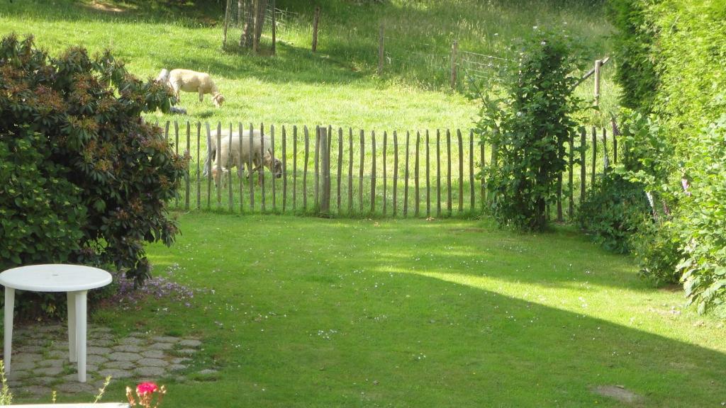 Lardinois vakantieverhuur photo 3
