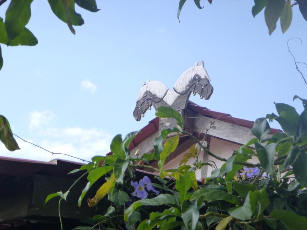 Finca Lindos Ojos photo 4