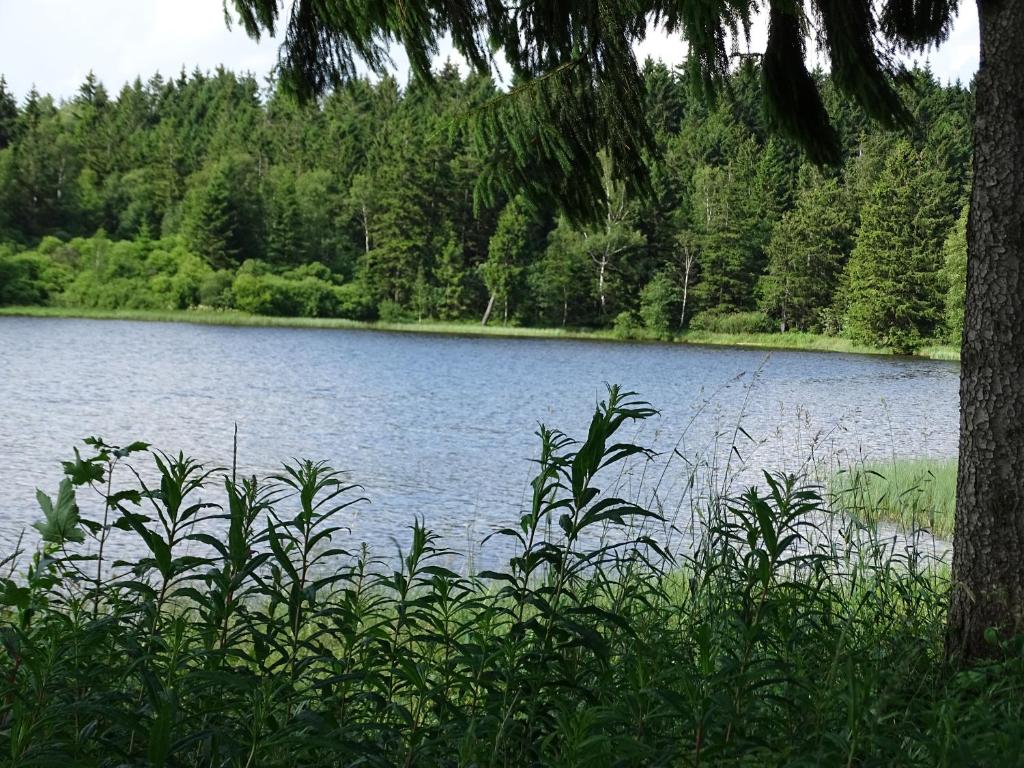 Hüttenflair am See mit Kamin photo 3