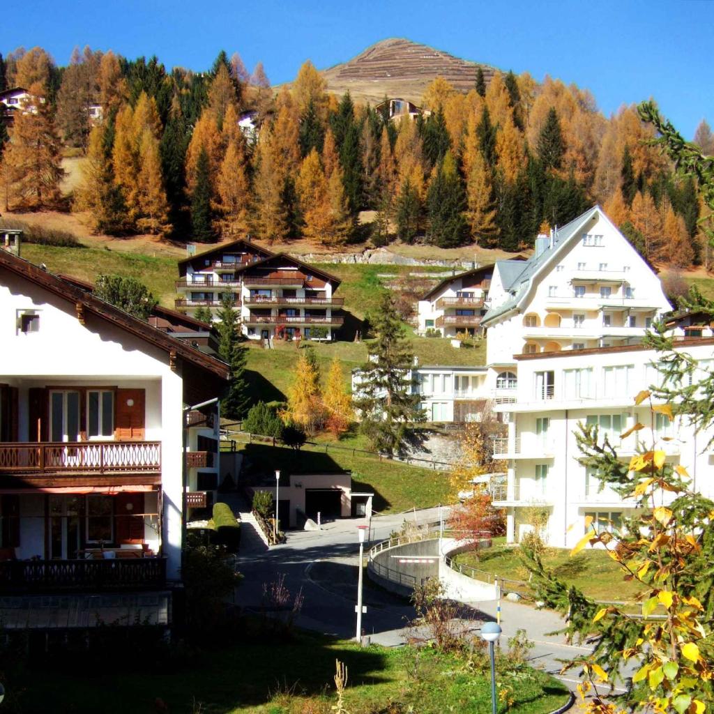 Haus Azalea photo 2