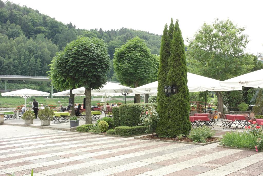Elbhotel Bad Schandau photo 3