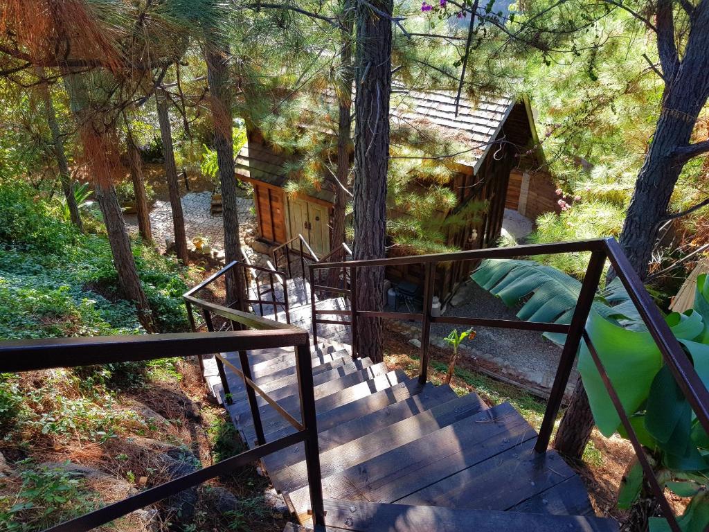 Chalet De Tahiti photo 2