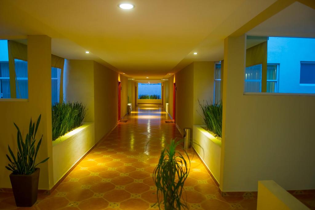 Апартаменты (Апартаменты с 2 спальнями), Casa Donceles apt. 1