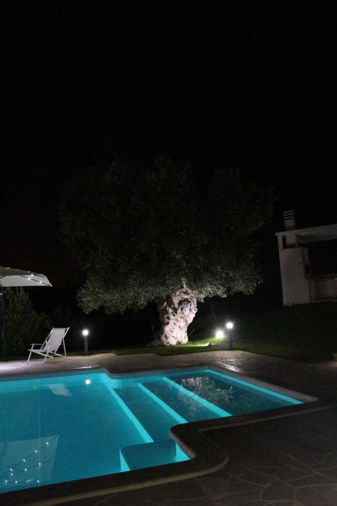 Apulia Bianca photo 1