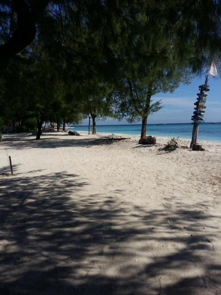 Yaya Bungalows Blue Coral Room Type - Double Room with Terrace