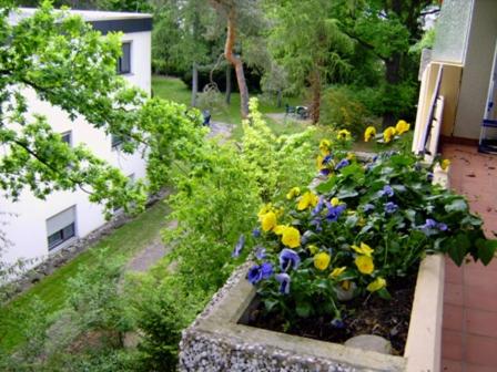 Appartementhaus im Grün photo 3