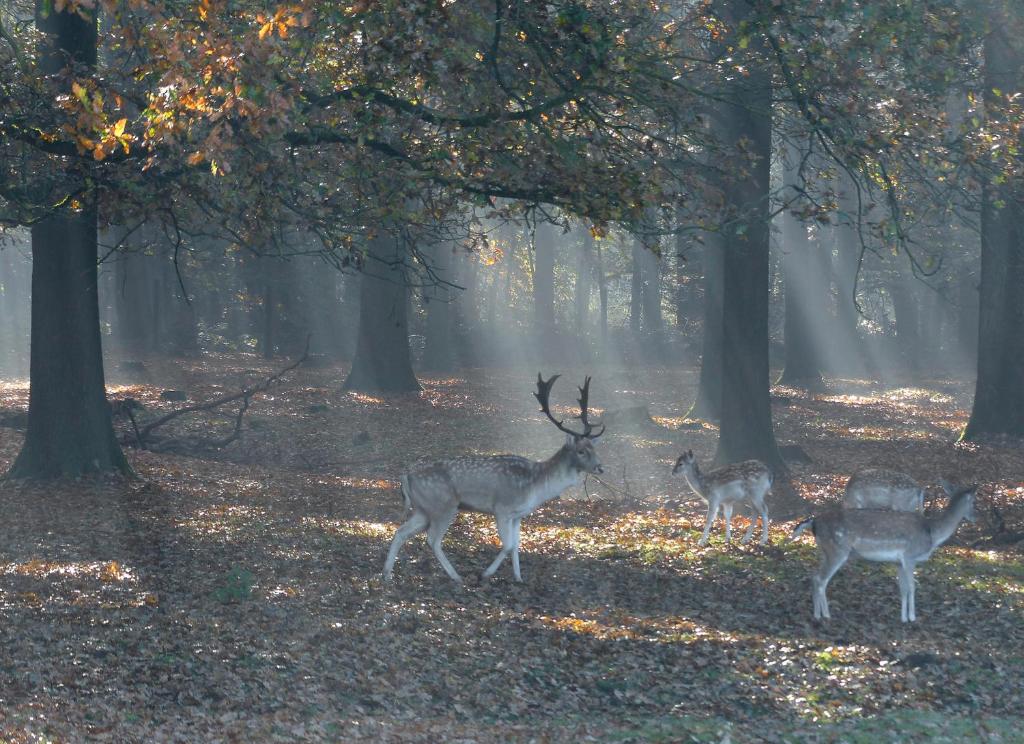 De Spaarbankhoeve photo 3