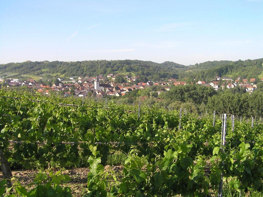 Ferienwohnung Am Alten Berg photo 3