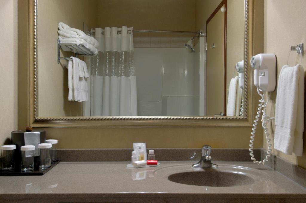 Ramada by Wyndham Drumheller Hotel & Suites photo 4