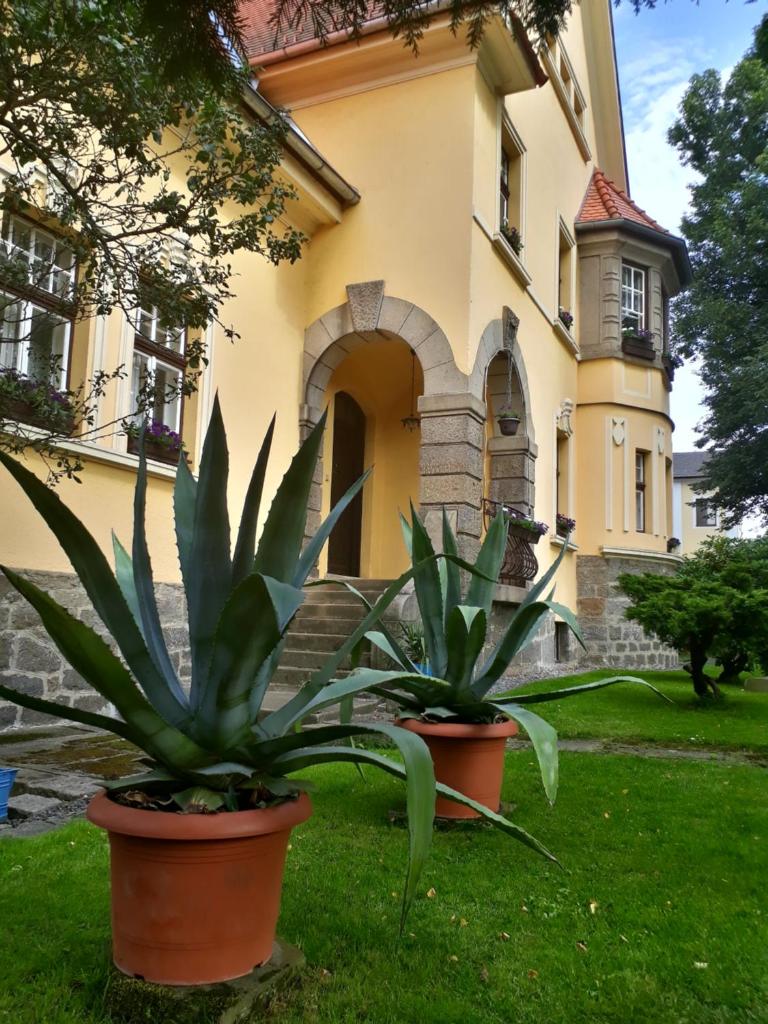 Penzion Romance photo 4
