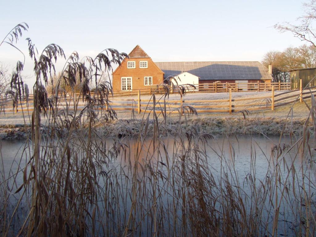 Pension Roager photo 3