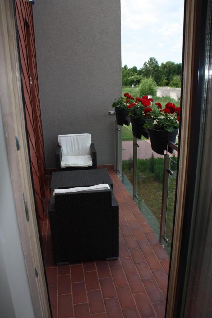 Family friendly Apartment Baltic Seaside photo 4
