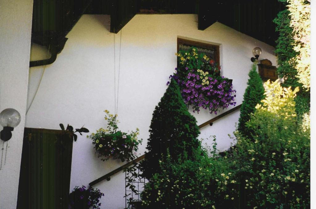 Haus Alex photo 1