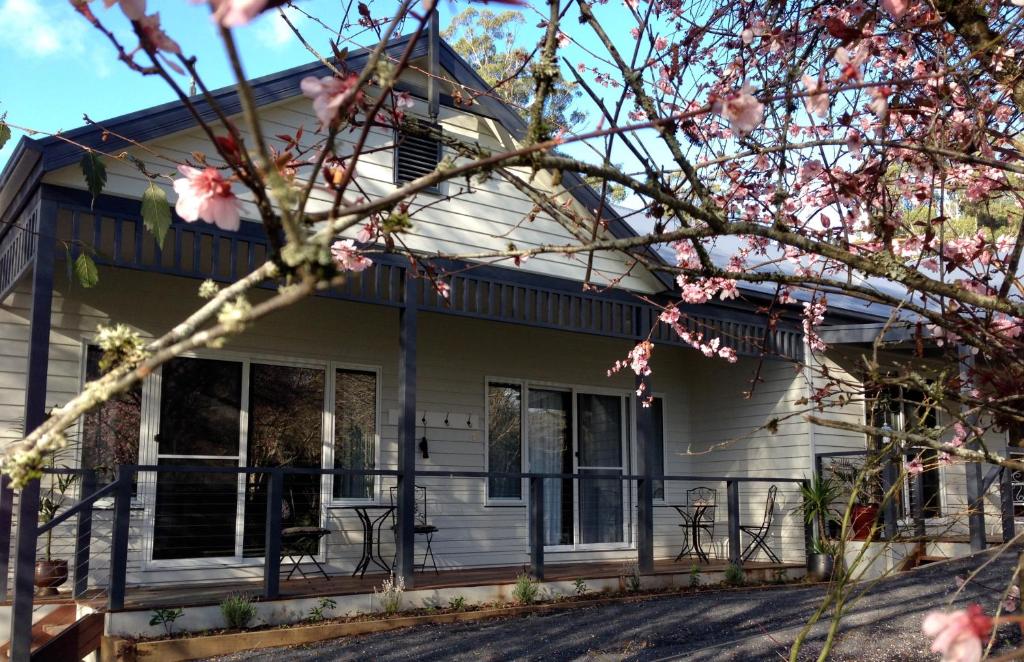 Goldberryaccommodation photo 1