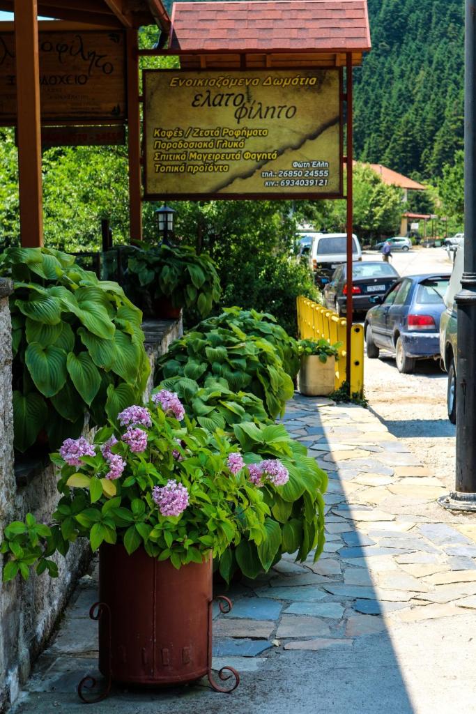Hotel Elatofilito photo 3