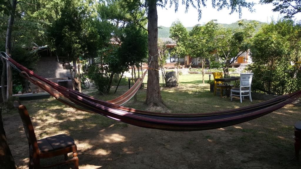 Guesthouse Nabiya photo 4