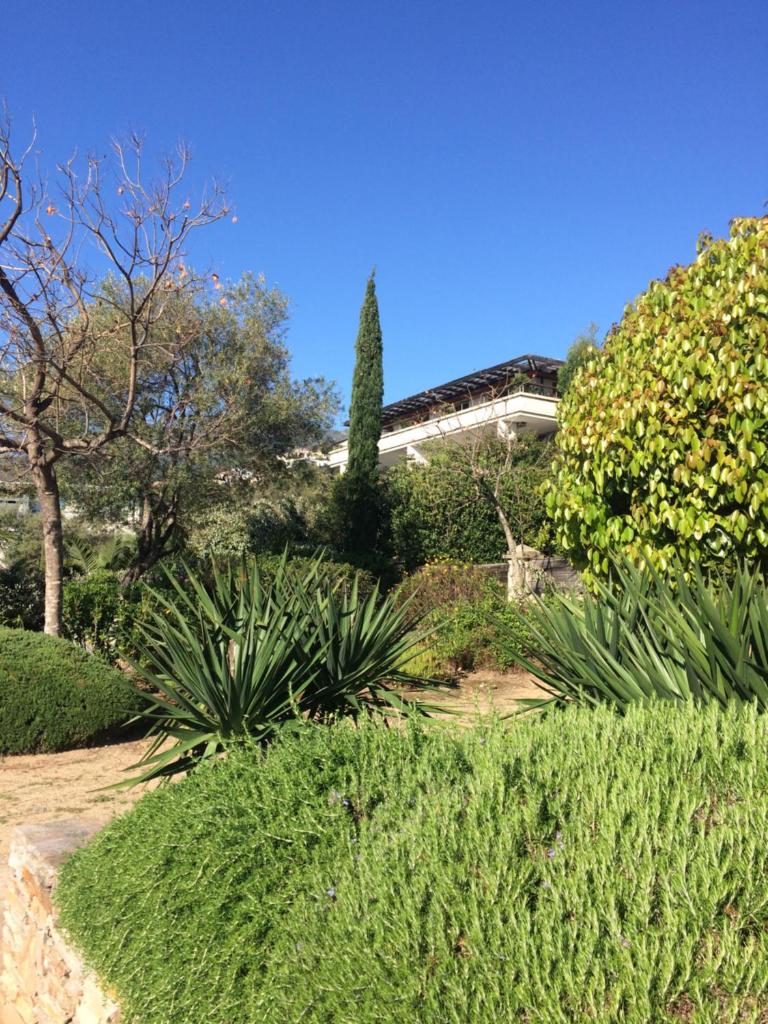 Jardins En Ville photo 2