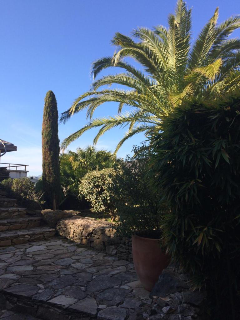 Jardins En Ville photo 3