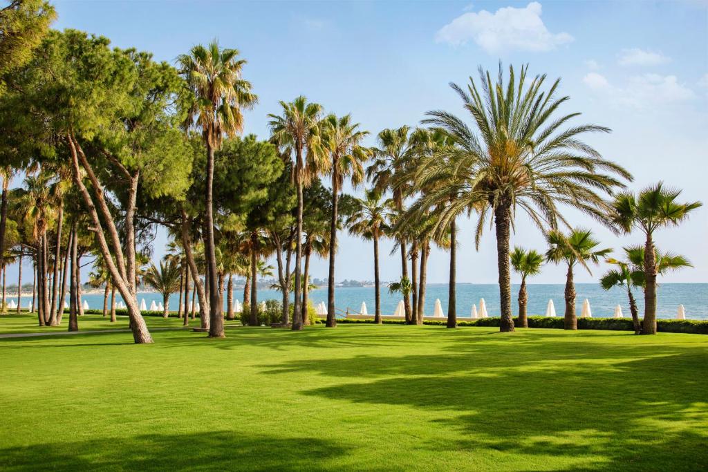 Acanthus & Cennet Barut Collection - Ultra All Inclusive photo 2