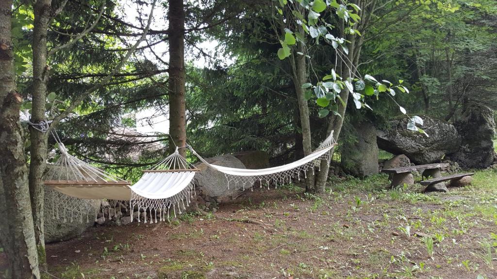 Orvidų sodyba photo 2