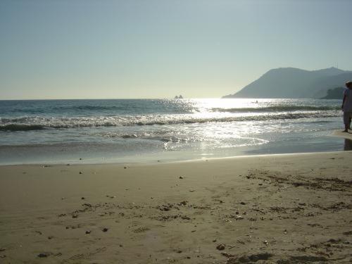 Plein sud photo 1