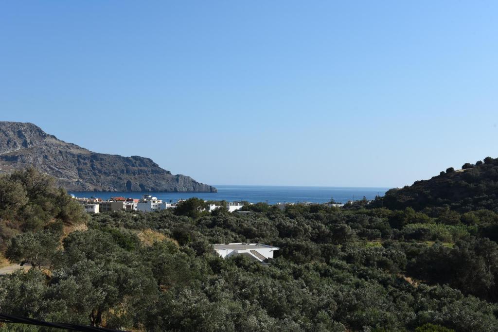 Antonis Studios & Apartments photo 2
